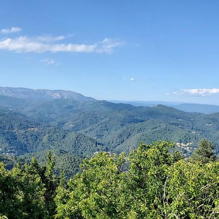 Gite De Combelebouze En Cevennes - Cosy, Confort Et Climatise - 3 Etoiles Saint-Privat-de-Vallongue エクステリア 写真
