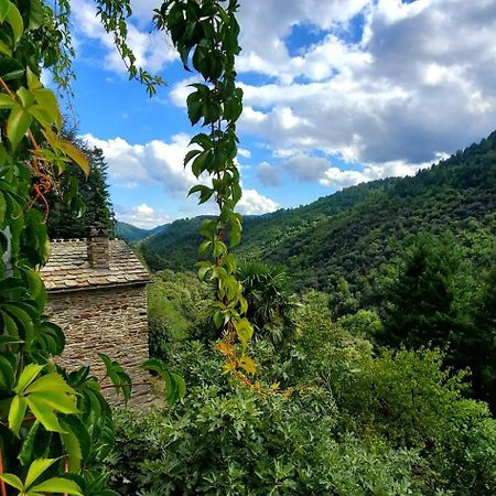 Gite De Combelebouze En Cevennes - Cosy, Confort Et Climatise - 3 Etoiles Saint-Privat-de-Vallongue エクステリア 写真