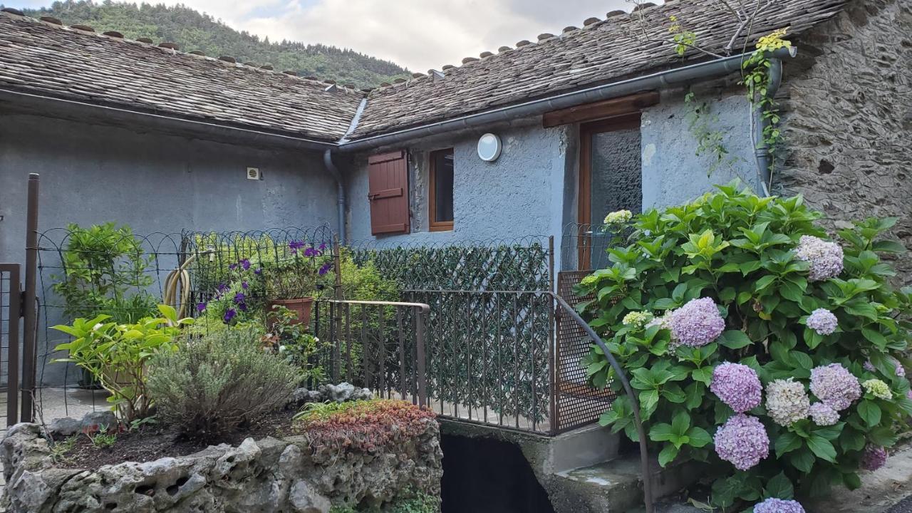Gite De Combelebouze En Cevennes - Cosy, Confort Et Climatise - 3 Etoiles Saint-Privat-de-Vallongue エクステリア 写真