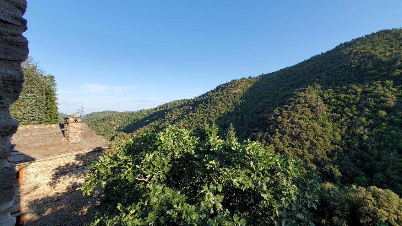 Gite De Combelebouze En Cevennes - Cosy, Confort Et Climatise - 3 Etoiles Saint-Privat-de-Vallongue エクステリア 写真