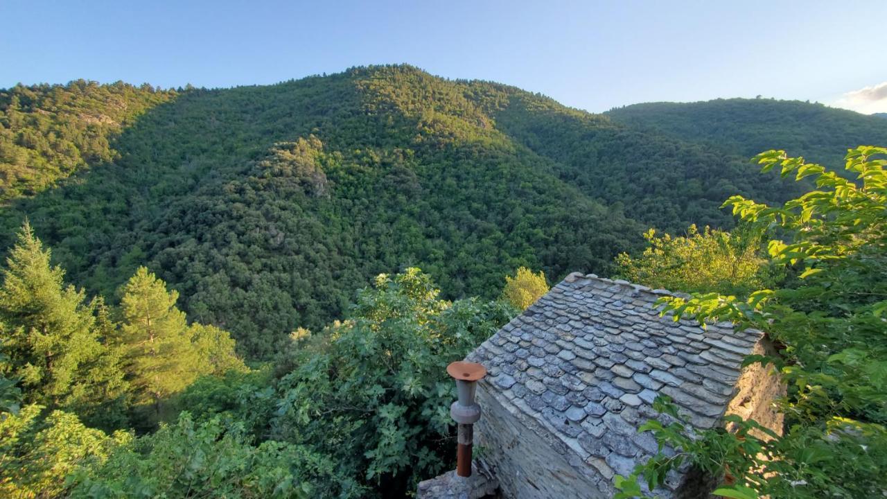 Gite De Combelebouze En Cevennes - Cosy, Confort Et Climatise - 3 Etoiles Saint-Privat-de-Vallongue エクステリア 写真