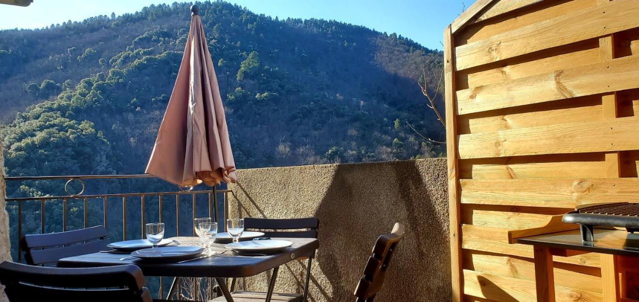 Gite De Combelebouze En Cevennes - Cosy, Confort Et Climatise - 3 Etoiles Saint-Privat-de-Vallongue エクステリア 写真