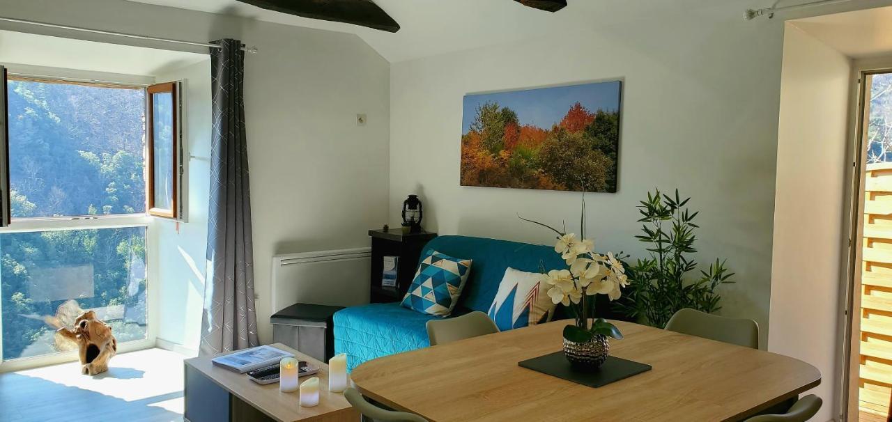 Gite De Combelebouze En Cevennes - Cosy, Confort Et Climatise - 3 Etoiles Saint-Privat-de-Vallongue エクステリア 写真