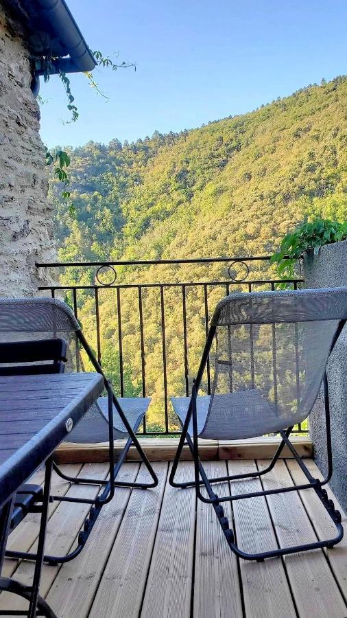 Gite De Combelebouze En Cevennes - Cosy, Confort Et Climatise - 3 Etoiles Saint-Privat-de-Vallongue エクステリア 写真