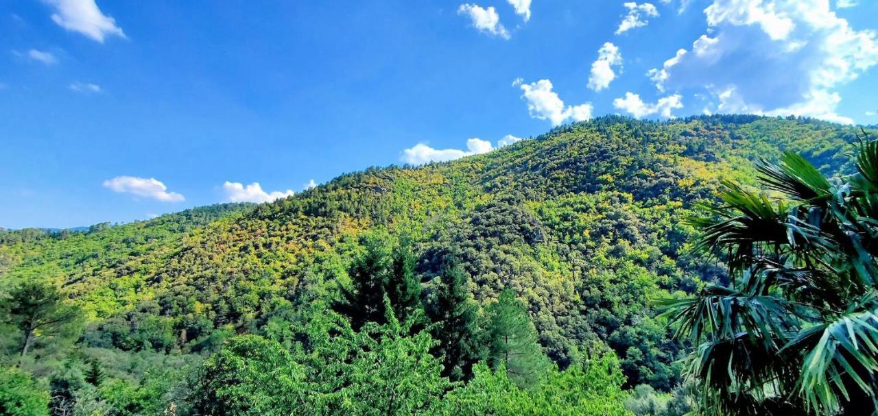Gite De Combelebouze En Cevennes - Cosy, Confort Et Climatise - 3 Etoiles Saint-Privat-de-Vallongue エクステリア 写真