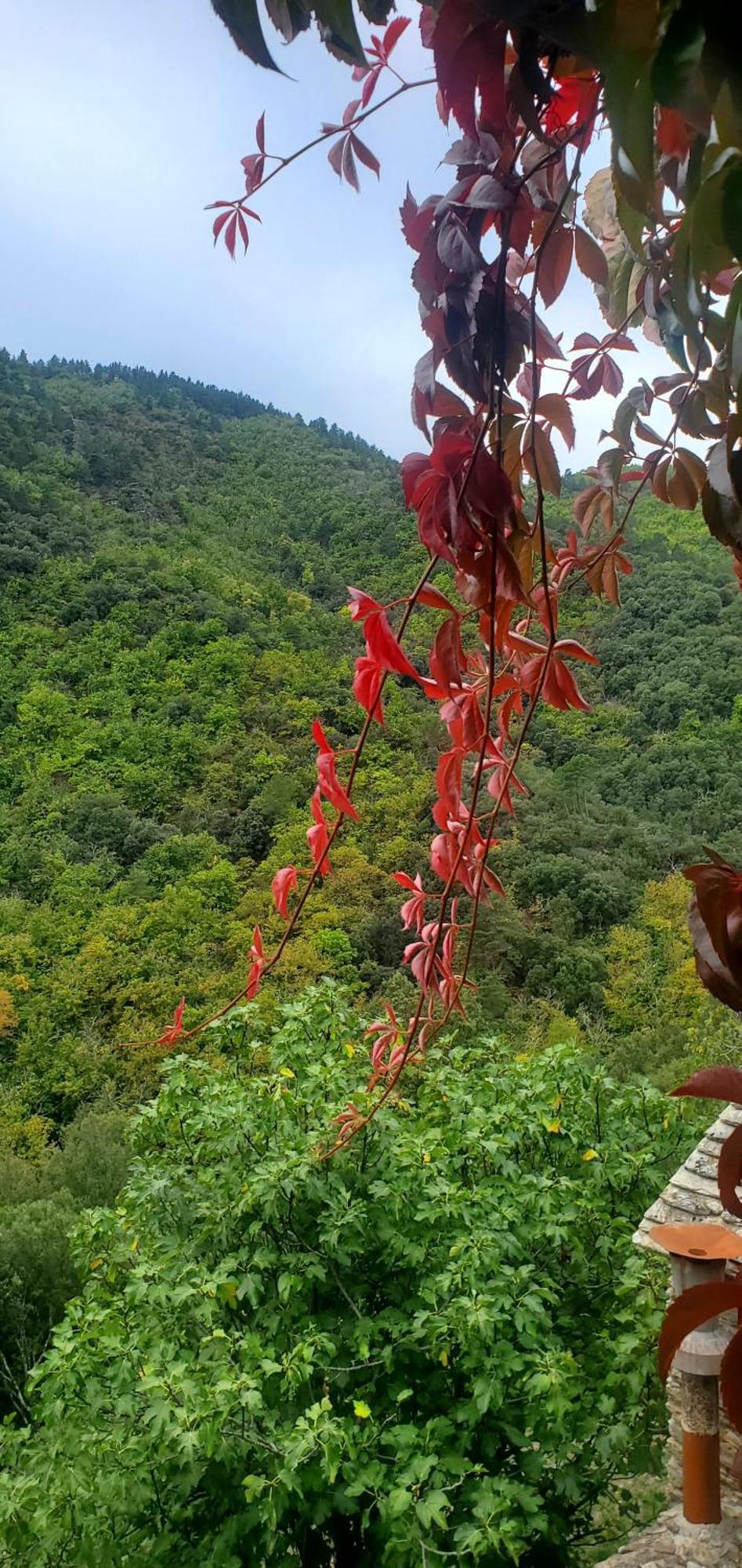 Gite De Combelebouze En Cevennes - Cosy, Confort Et Climatise - 3 Etoiles Saint-Privat-de-Vallongue エクステリア 写真