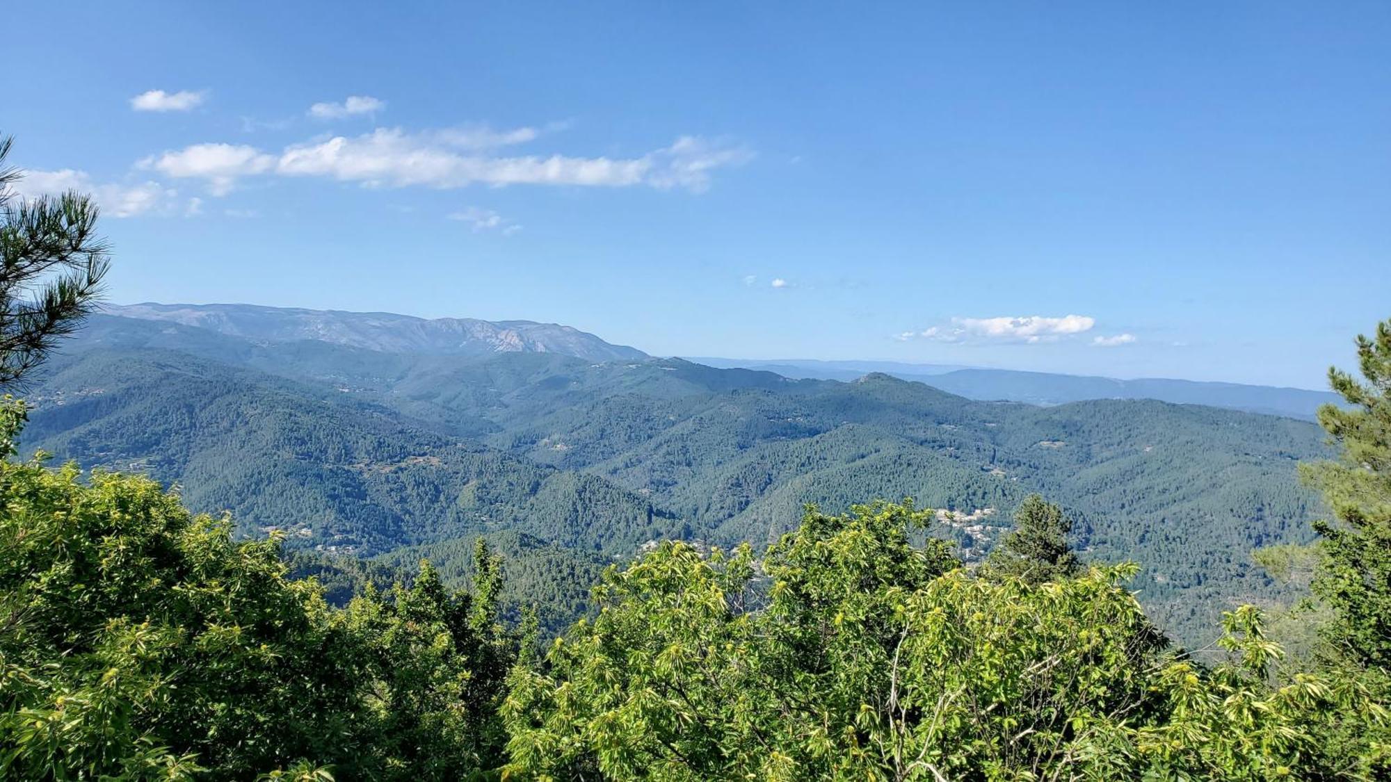 Gite De Combelebouze En Cevennes - Cosy, Confort Et Climatise - 3 Etoiles Saint-Privat-de-Vallongue エクステリア 写真