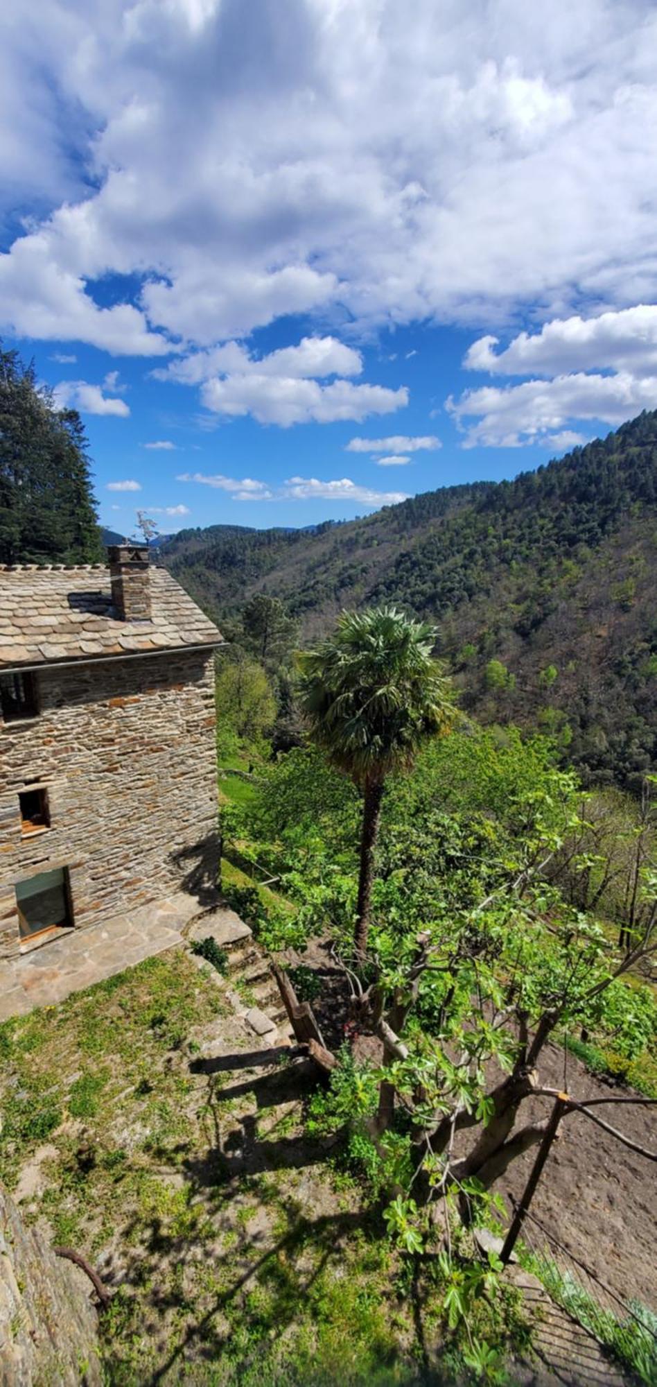 Gite De Combelebouze En Cevennes - Cosy, Confort Et Climatise - 3 Etoiles Saint-Privat-de-Vallongue エクステリア 写真