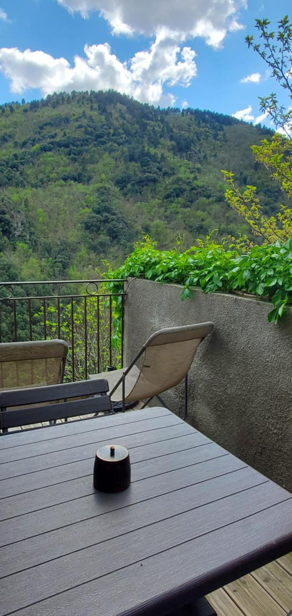 Gite De Combelebouze En Cevennes - Cosy, Confort Et Climatise - 3 Etoiles Saint-Privat-de-Vallongue エクステリア 写真